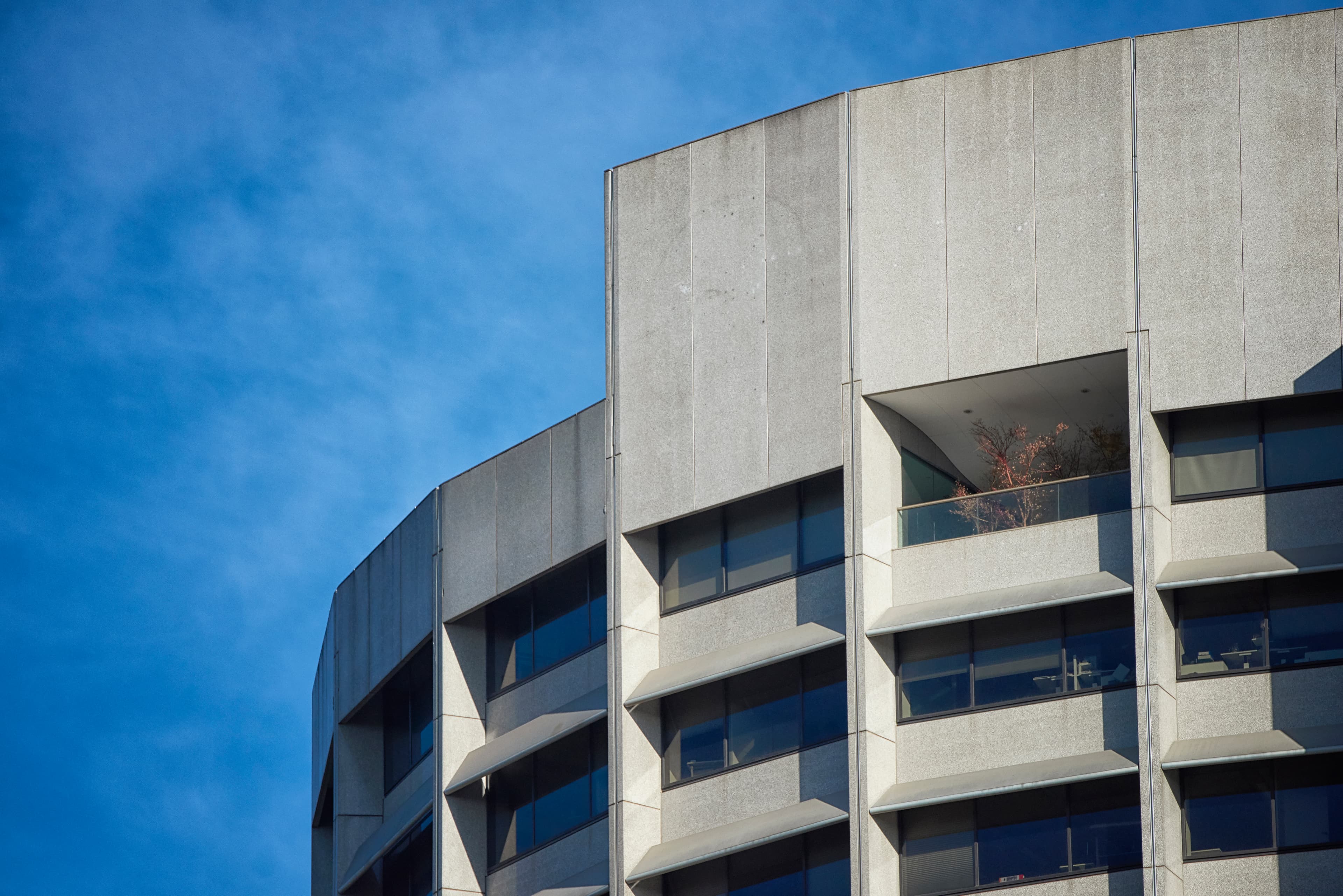 VHRH2365 Shell House 03