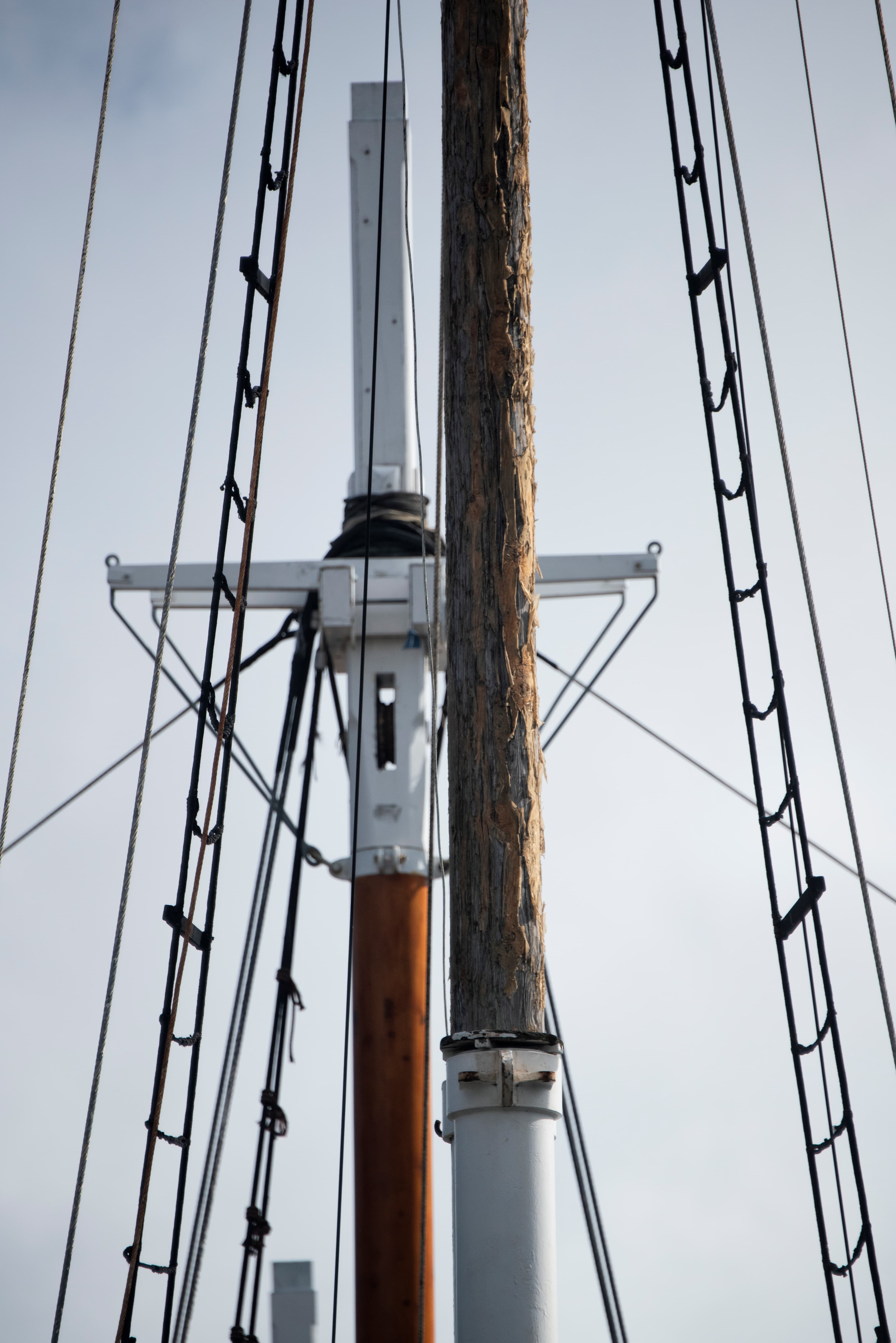 H2116 Polly Woodside 27 HR