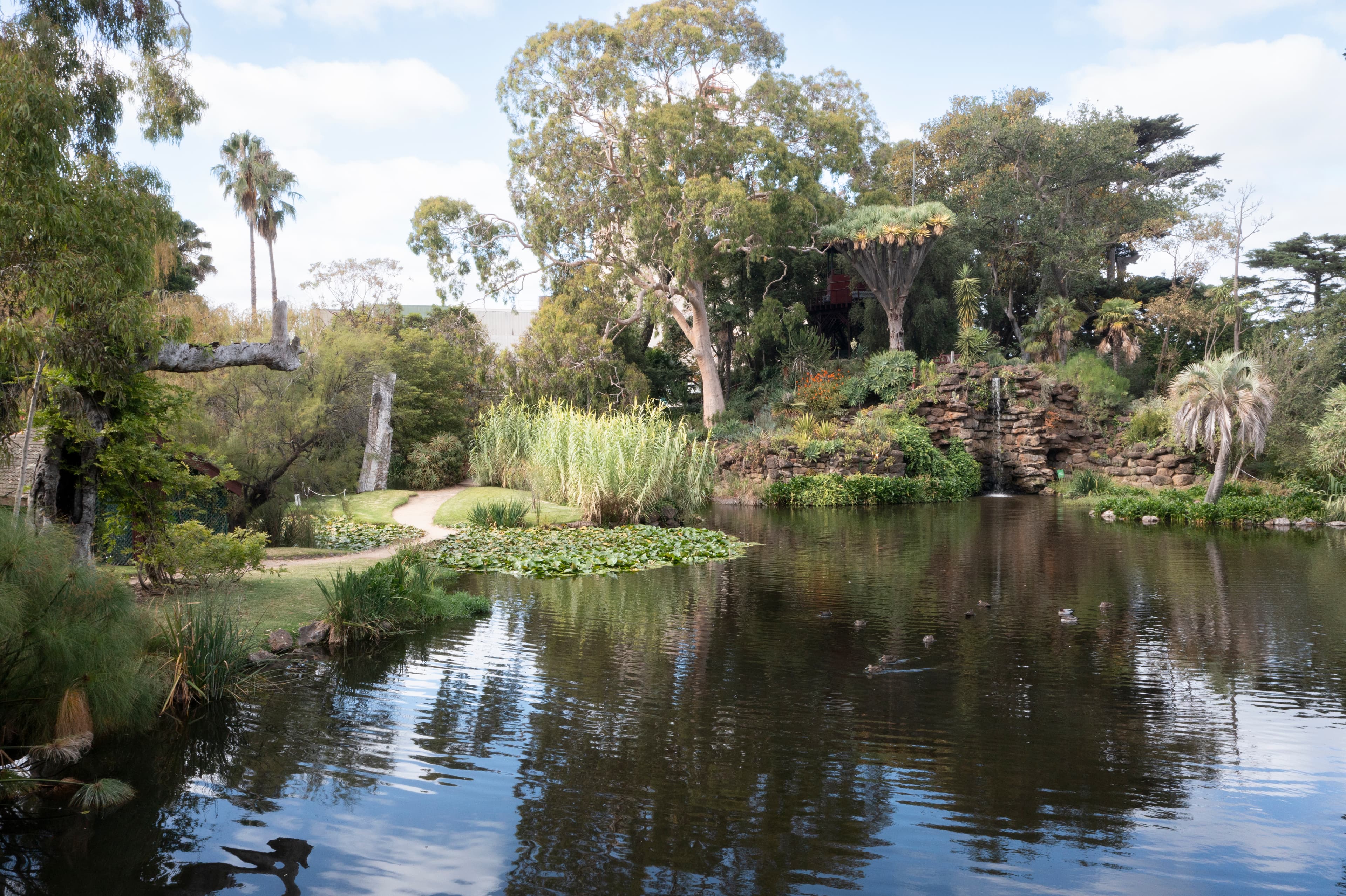 HO614 Rippon Lea 013 HR