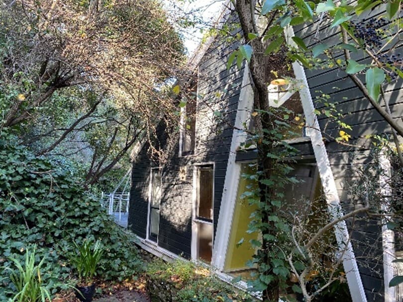 Rear of the River House, 2024